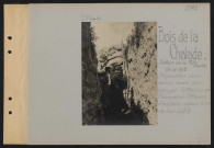 Bois de La Chalade, secteur de La Fille Morte. Préparation d'une action locale pour appuyer l'offensive de Champagne. Officiers d'artillerie réglant le tir de leur batterie