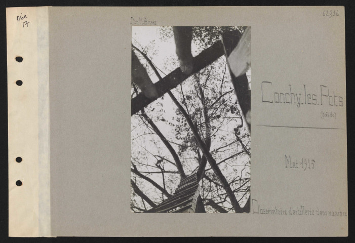 Conchy-les-Pots (près de). Observatoire d'artillerie dans un arbre