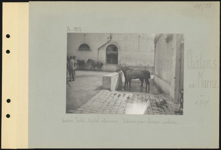 Châlons-sur-Marne. Caserne Tirlet. Hôpital vétérinaire. Pédiluve pour chevaux malades