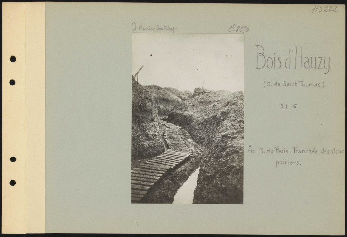 Bois d'Hauzy (ouest de Saint-Thomas). Au nord du bois. Tranchée des Deux Poiriers