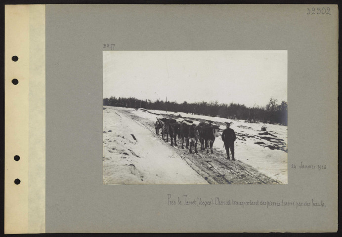 Le Tanet (près) (Vosges). Chariot transportant des pierres trainé par des bœufs