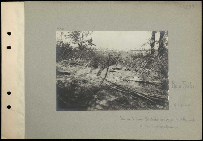 Bois Foulon. Vue sur la ferme Hurtebise occupée par les Allemands. Au fond, tranchées allemandes