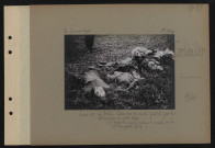Gerbéviller. Lieu-dit La Prêle. Cadavres de civils fusillés par les Allemands en août 1914 (Cf. Rapports et procès-verbaux d'enquête de la Commission française, TI)