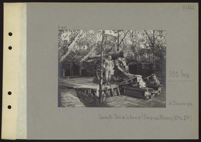 Bois de la ferme de l'étang (près Blémerey) (Meurthe et Moselle). 155 long camouflé