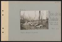 Bois de La Chalade, secteur de La Fille Morte. Relève faisant la pause