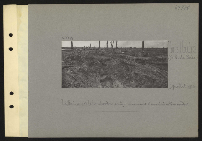 Bois Haché (sud-ouest de Frise). Le bois après le bombardement, anciennes tranchées allemandes