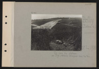 Belloy (plateau de). Un coin du plateau : au premier plan, cadavre allemand dans les blés