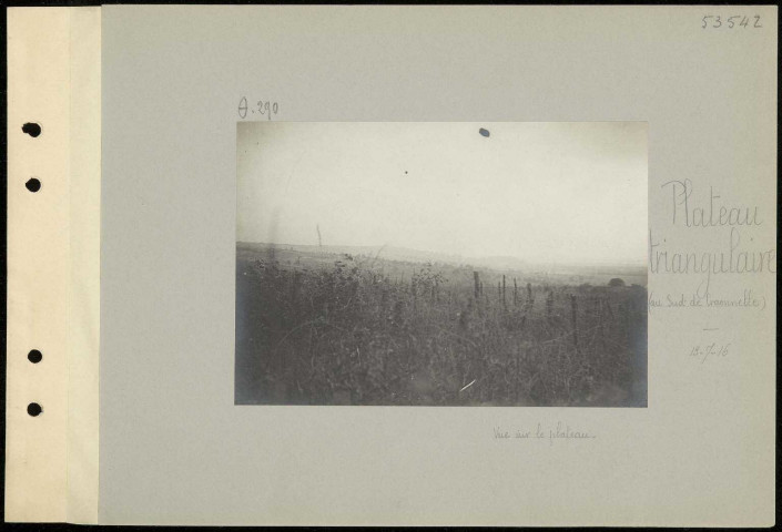 Plateau triangulaire (au sud de Craonnelle). Vue sur le Plateau