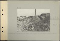 Bois des Buttes. Reconstitution de l'attaque du bois pris par le 31e régiment d'infanterie le 16 avril 1917. Une demi-section attaquant un blockhaus allemand