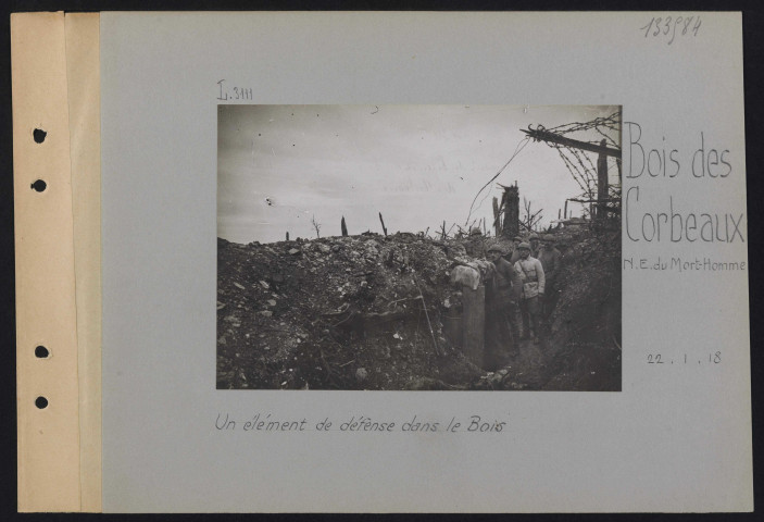 Bois des Corbeaux (nord-est du Mort-Homme). Un élément de défense dans le bois