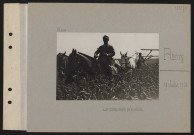 Rémy. La moisson assurée par les soldats