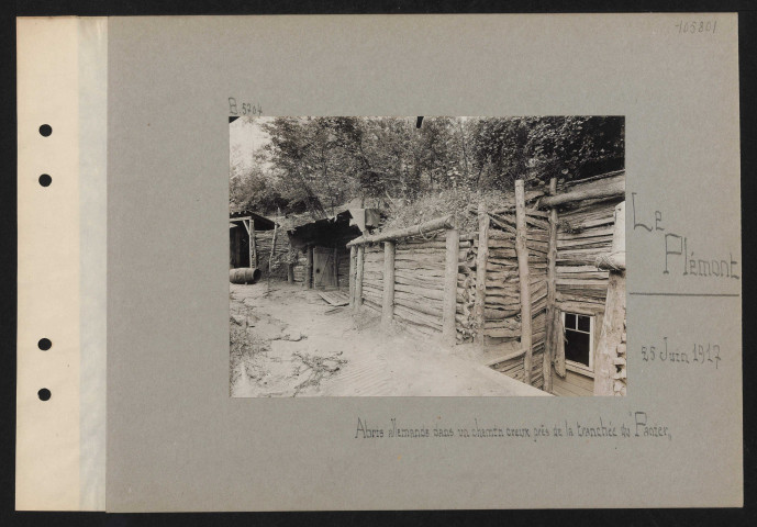 Le Plémont. Abris allemands dans un chemin creux près de la tranchée du "Panier"