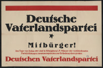 Deutsche Vaterlandspartei