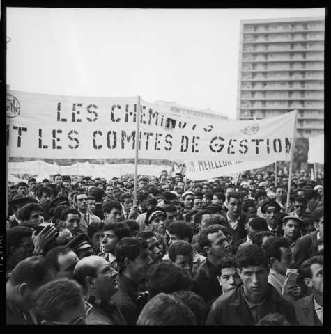 Manifestation et meeting à Alger organisée par le FLN en présence de Bachir Boumaza (ministre du travail), Ben Bella et Boumedienne (suite): 2