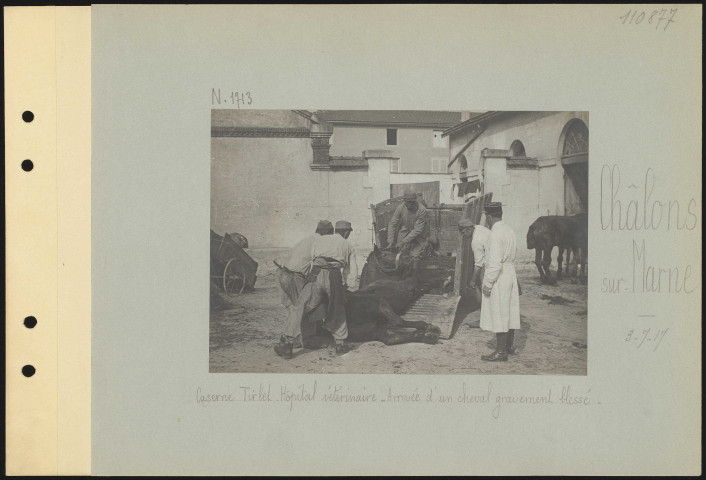 Châlons-sur-Marne. Caserne Tirlet. Hôpital vétérinaire. Arrivée d'un cheval gravement blessé
