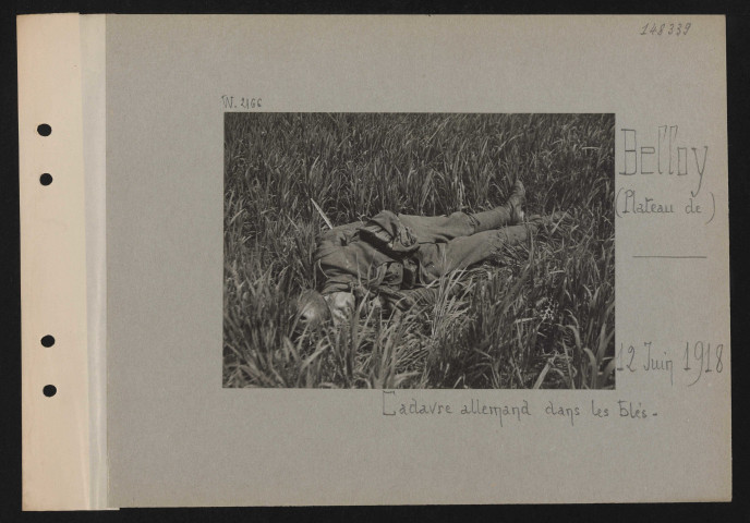 Belloy (plateau de). Cadavre allemand dans les blés