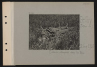 Belloy (plateau de). Cadavre allemand dans les blés
