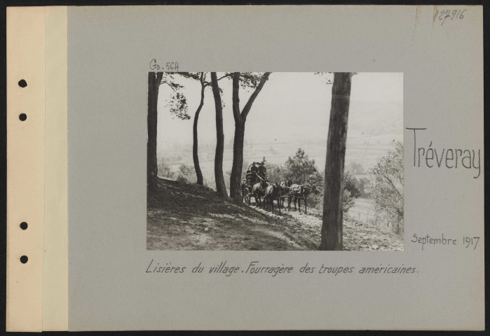 Tréveray. Lisières du village. Fourragère des troupes américaines