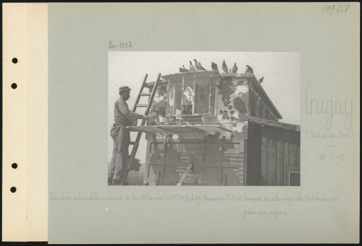 Crugny (près et au sud). Colombier automobile militaire de la 10e armée (numéro T.24, 5 et 29). Remorque T.24 et baraque du colombophile. Distribution de grain aux pigeons