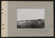 Belloy (plateau de). Chars d'assaut restés entre les lignes après l'attaque du 12 juin : au fond, Lataule, occupé par les Allemands