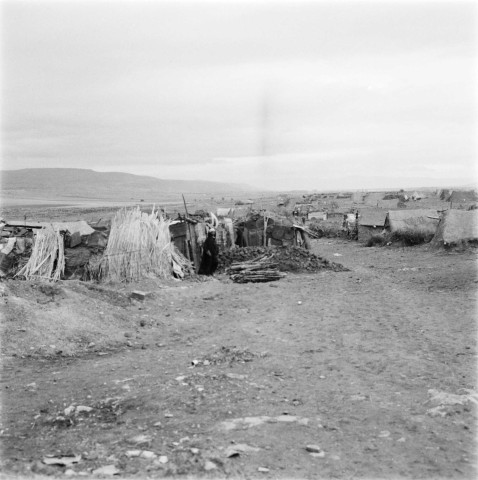 Saïda. Le travail de l'alfa