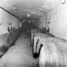 Reportage sur le domaine de la Trappe, propriété nationalisée de la famille Borgeaud à Staouëli, près d'Alger (suite). 5