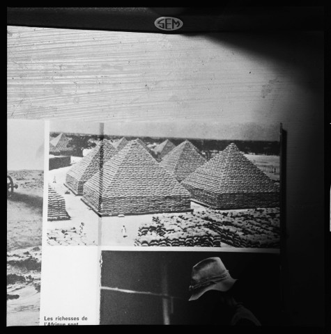 Reproductions de pages de livres (avec des photos) concernant l'Afrique