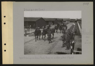 Abbeville (près). Hôpital britannique de chevaux blessés. Chevaux de cavalerie quittant l'hôpital