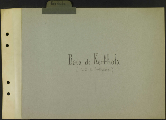 Intercalaire "Bois de Kerbholz"