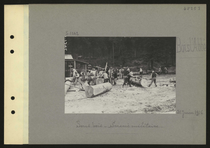 Bois l'Abbé. Sous-bois : scierie militaire