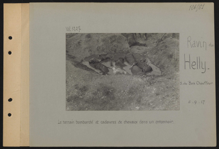 Ravin du Helly (sud du Bois Chauffour). Le terrain bombardé et cadavres de chevaux dans un entonnoir
