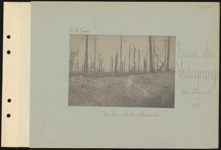 Épine de Vedegrange (entre Auberive et). Bois 402 ; abattis allemands