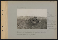 Bois de l'Hermitage (sud-ouest du Bois des Caurières). Panorama du bois bombardé. Au premier plan, affût de canon allemand détruit; au deuxième plan, abris