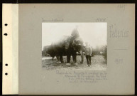 Felleries. Elephant de Hagenbeck employé par les Allemands à transporter des bois. A droite, colonel von Mehring, ancien commandant de Valenciennes