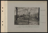 Avricourt. Destructions systématiques par les Allemands : le château, ex QG du prince Eitel, détruit à coups de mine