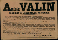 Amédée Valin : Candidat à l'Assemblée Nationale