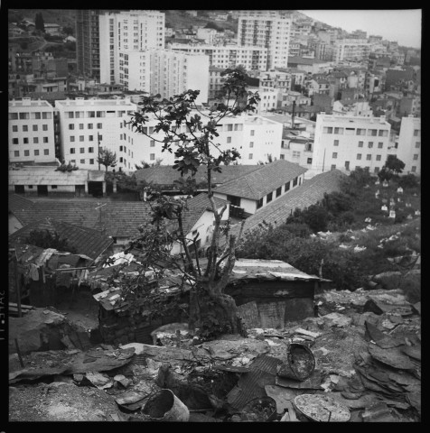 Habitats précaires sur les hauteurs d'Alger: 1