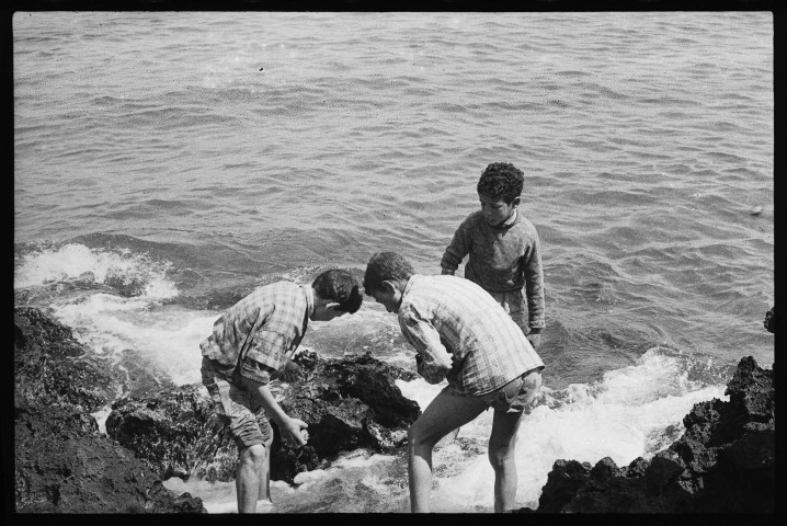 Reportage sur un petit port de pêche