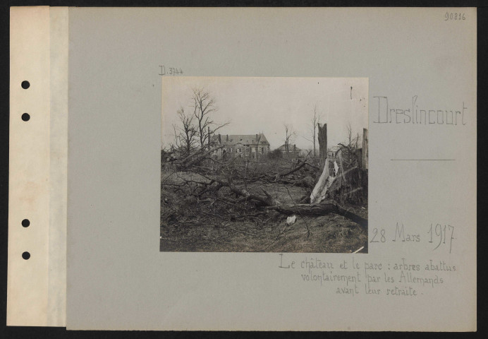 Deslincourt. Le château et le parc : arbres abattus volontairement par les Allemands avant leur retraite
