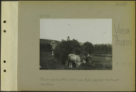 Vieux-Thann. Route camouflée (à droite) au premier plan paysan rentrant ses foins