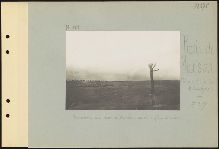 Ravin de Marson (près et à l'est de Ferme de Beauséjour). Panorama du ravin et des abris creusés à flanc de coteau