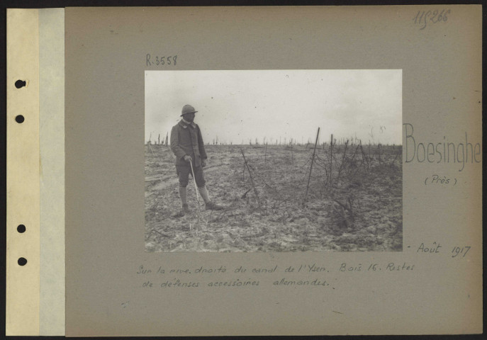 Boesinghe (près). Sur la rive droite du canal de l'Yser. Bois 16. Restes de défenses accessoires allemandes