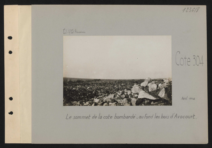 Cote 304. Le sommet de la cote bombardé. Au fond, les bois d'Avocourt