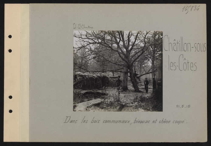 Châtillon-sous-les-Côtes. Dans les bois communaux, bivouac et chêne coupé