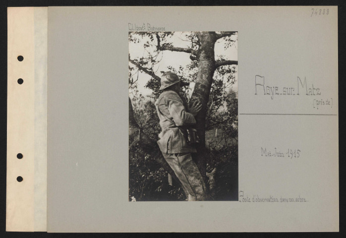 Roye-sur-Matz (près). Poste d'observation dans un arbre