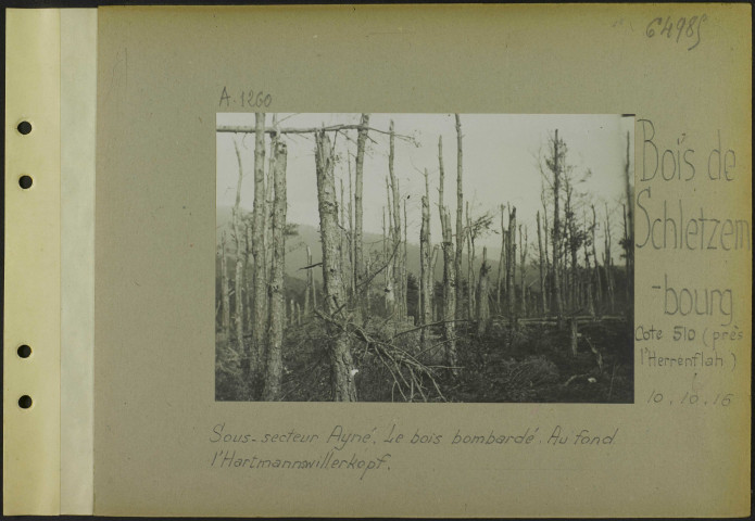 Bois de Schletzembourg (Cote 510) (Près l'Herrenflah). Sous-secteur Ayné. Le bois bombardé. Au fond l'Hartmannswillerkopf