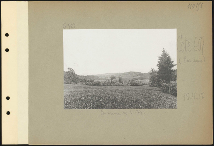 Cote 607 (près Lusse). Panorama de la cote