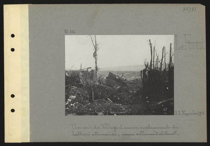 Le Forest. Un coin du village et ancien emplacement de batterie allemande, canon allemand détruit