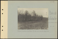 Bois de la Coinche (sud-est de Vienne-la-Ville). Position de batterie d'artillerie. Au premier plan, tas de douilles d'obus tirés
