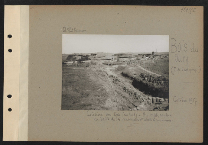 Bois du Jury (est de Seicheprey). Lisières du bois (au fond). Au premier plan, position de batterie de 75 : casemates et abris à munitions